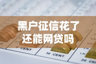 黑户征信花了还能网贷吗