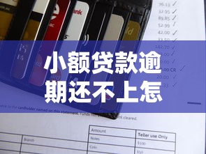 小额贷款逾期还不上怎么办 小额贷款逾期还不上怎么办