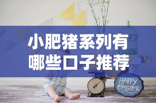 小肥猪系列有哪些口子推荐