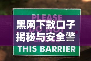 黑网下款口子揭秘与安全警示