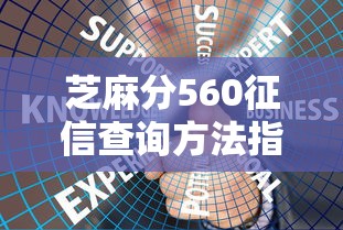 芝麻分560征信查询方法指南