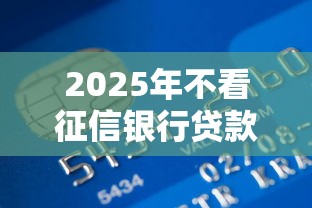 2025年不看征信银行贷款推荐 2025年不看征信银行贷款推荐