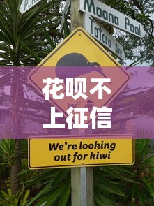 花呗不上征信解决方法大全