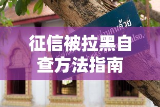 征信被拉黑自查方法指南