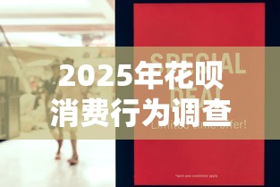 2025年花呗消费行为调查报告
