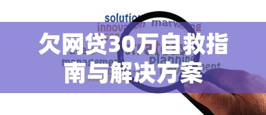 欠网贷30万自救指南与解决方案