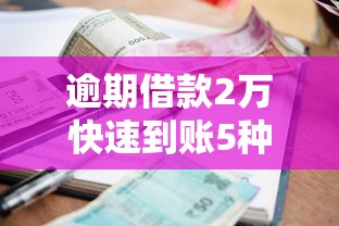逾期借款2万快速到账5种方法