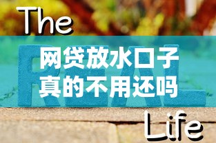 网贷放水口子真的不用还吗