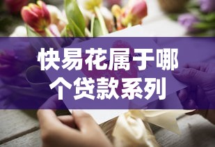 快易花属于哪个贷款系列