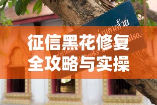 征信黑花修复全攻略与实操指南