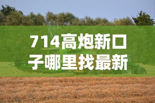 714高炮新口子哪里找最新攻略指南