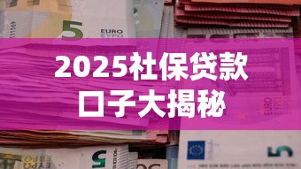 2025社保贷款口子大揭秘