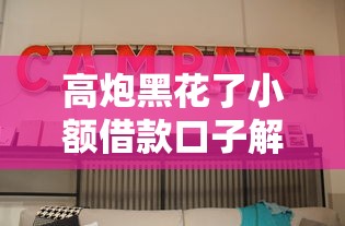 高炮黑花了小额借款口子解析