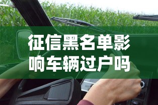 征信黑名单影响车辆过户吗