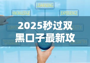 2025秒过双黑口子最新攻略