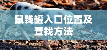 鼠钱罐入口位置及查找方法