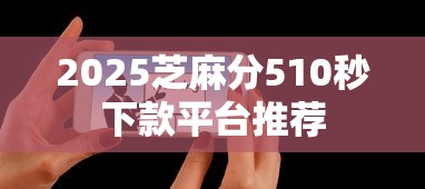 2025芝麻分510秒下款平台推荐