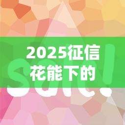 2025征信花能下的借款口子