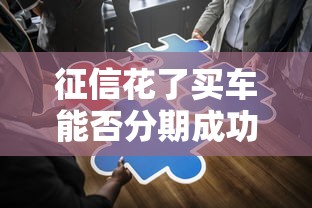 征信花了买车能否分期成功