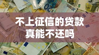 不上征信的贷款真能不还吗 不上征信的贷款真能不还吗