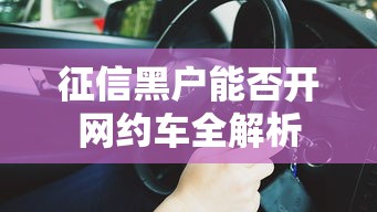 征信黑户能否开网约车全解析
