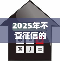 2025年不查征信的贷款平台推荐