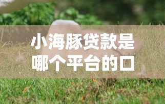 小海豚贷款是哪个平台的口子 小海豚贷款是哪个平台的口子