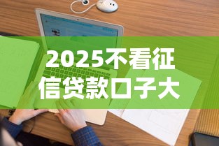 2025不看征信贷款口子大全