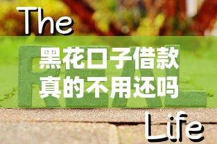 黑花口子借款真的不用还吗 黑花口子借款真的不用还吗