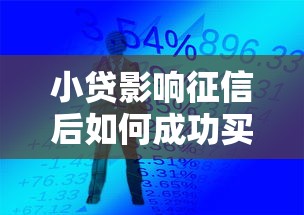 小贷影响征信后如何成功买房