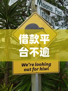 借款平台不逾期会上征信吗 借款平台不逾期会上征信吗