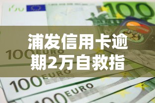 浦发信用卡逾期2万自救指南