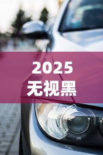 2025无视黑花白车主贷精选