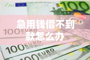 急用钱借不到款怎么办