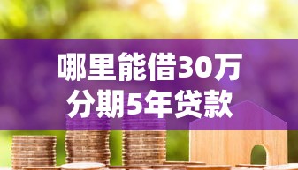 哪里能借30万分期5年贷款