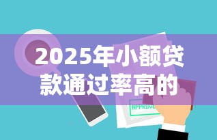 2025年小额贷款通过率高的平台