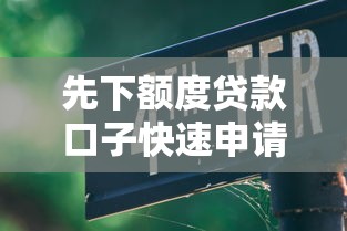先下额度贷款口子快速申请指南