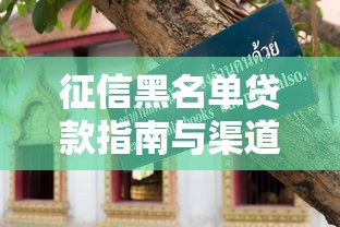 征信黑名单贷款指南与渠道 征信黑名单贷款指南与渠道