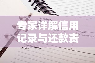 专家详解信用记录与还款责任