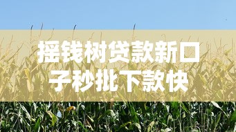 摇钱树贷款新口子秒批下款快