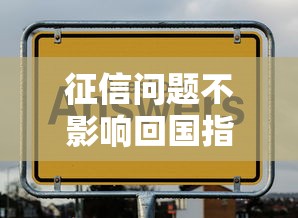 征信问题不影响回国指南