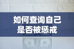 如何查询自己是否被惩戒