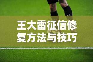 王大雷征信修复方法与技巧指南 王大雷征信修复方法与技巧指南