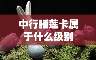 中行睡莲卡属于什么级别 中行睡莲卡属于什么级别