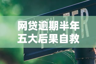 网贷逾期半年五大后果自救指南