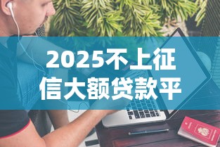 2025不上征信大额贷款平台推荐