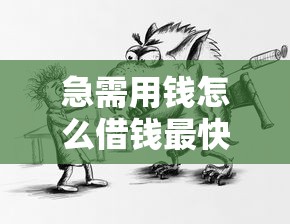 急需用钱怎么借钱最快最靠谱