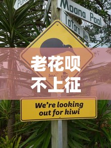 老花呗不上征信解决全攻略