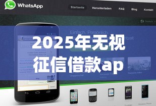 2025年无视征信借款app大全