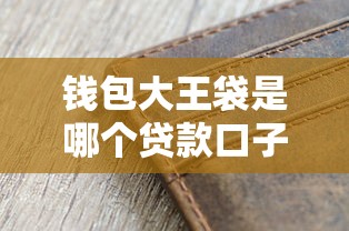 钱包大王袋是哪个贷款口子